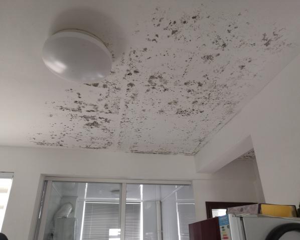 深化黨建推動引領，提升租戶居住幸福指數(shù)