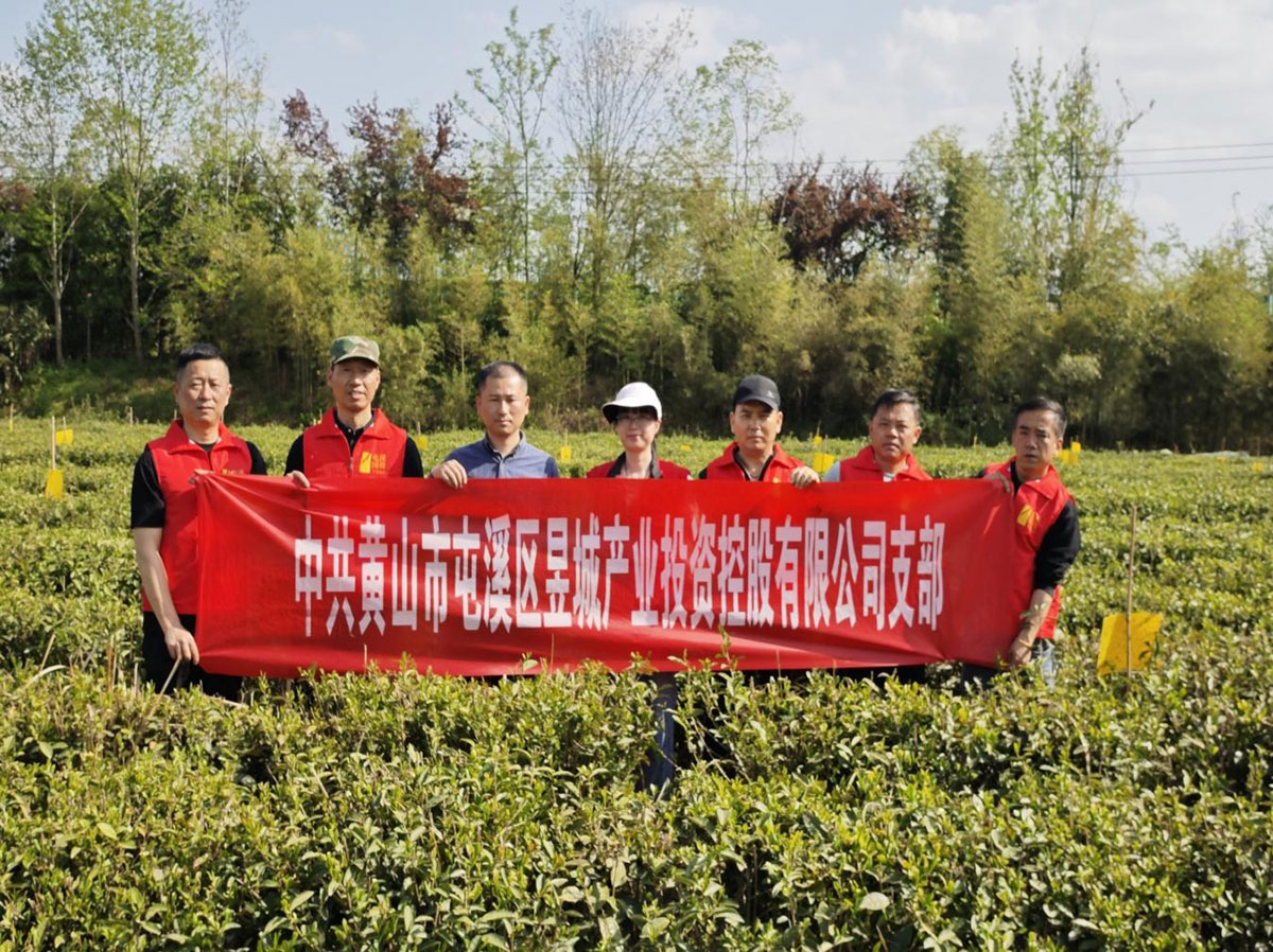 昱城產(chǎn)投公司黨支部開展“茶香潤(rùn)初心，黨旗映茶園”主題黨日活動(dòng)