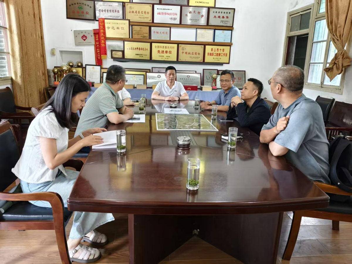 江蘇外聯(lián)采考察團(tuán)到實驗茶場考察，共商茶產(chǎn)業(yè)合作新藍(lán)圖
